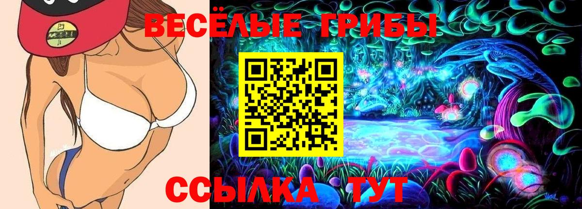 Псилоцибиновые грибы мицелий  Псилоцибиновые грибы GOLDEN TEACHER  Вход с VPN  Набережные Челны 